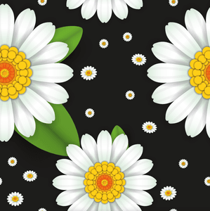 Hovedbilde Daisy Mae Sort/Hvit - &Oslash;kologisk Jersey