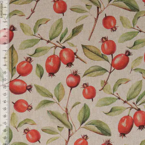 Hovedbilde Rosehip - Kanvas