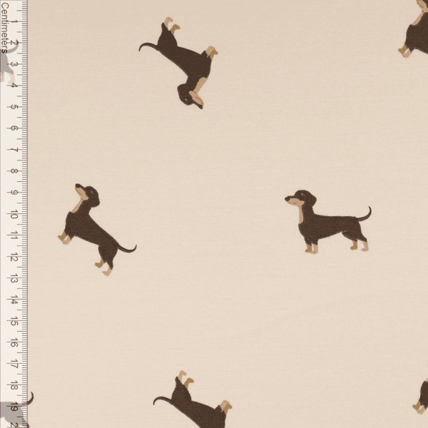 Lille Dachs - Jersey