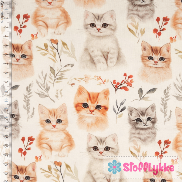 Adorable Kittens - Jersey