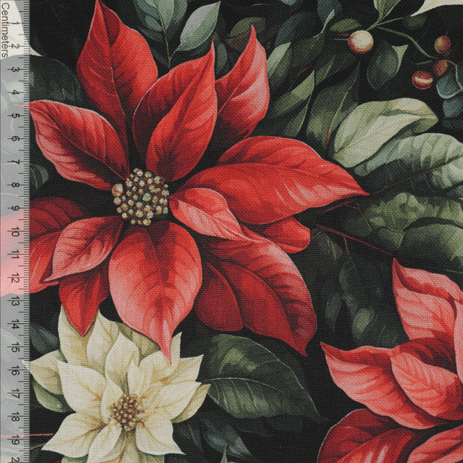 Hovedbilde Poinsettia - Kanvas