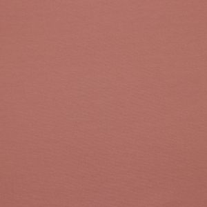 Hovedbilde Rose - Punto