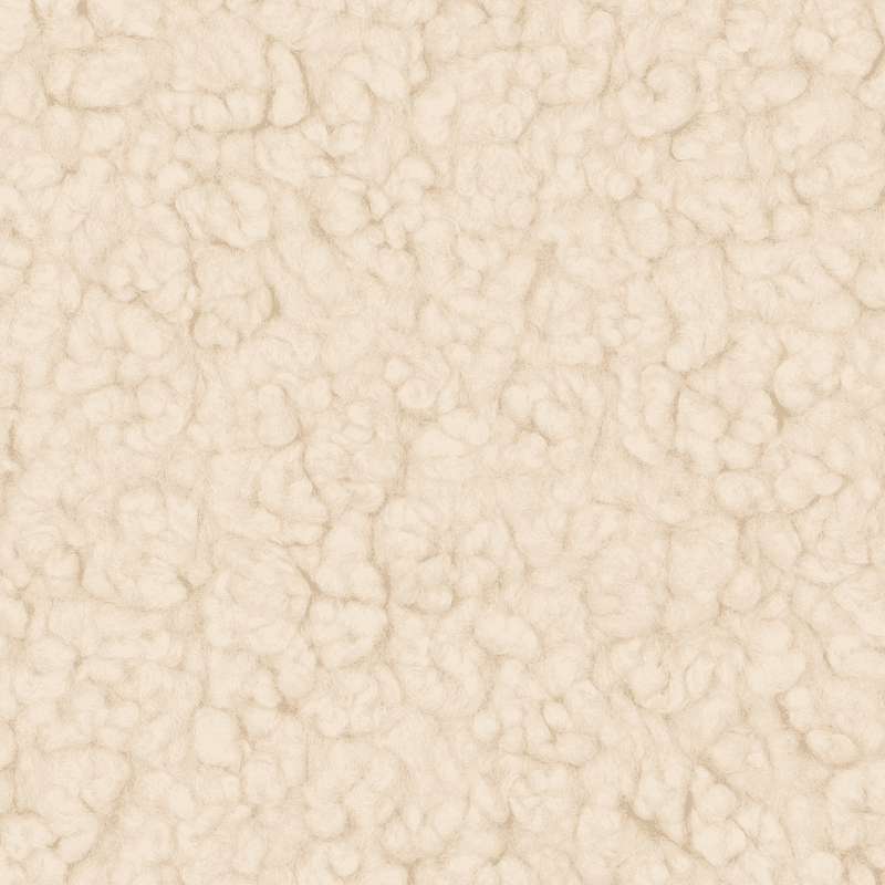Ecru - Soft Teddy Boucle 