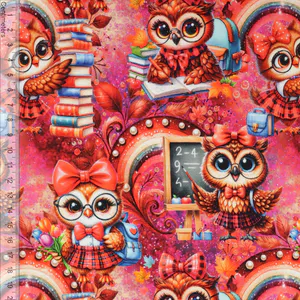 Hovedbilde Owl School - French Terry