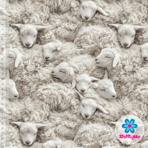 Lamb Dreams - Jersey