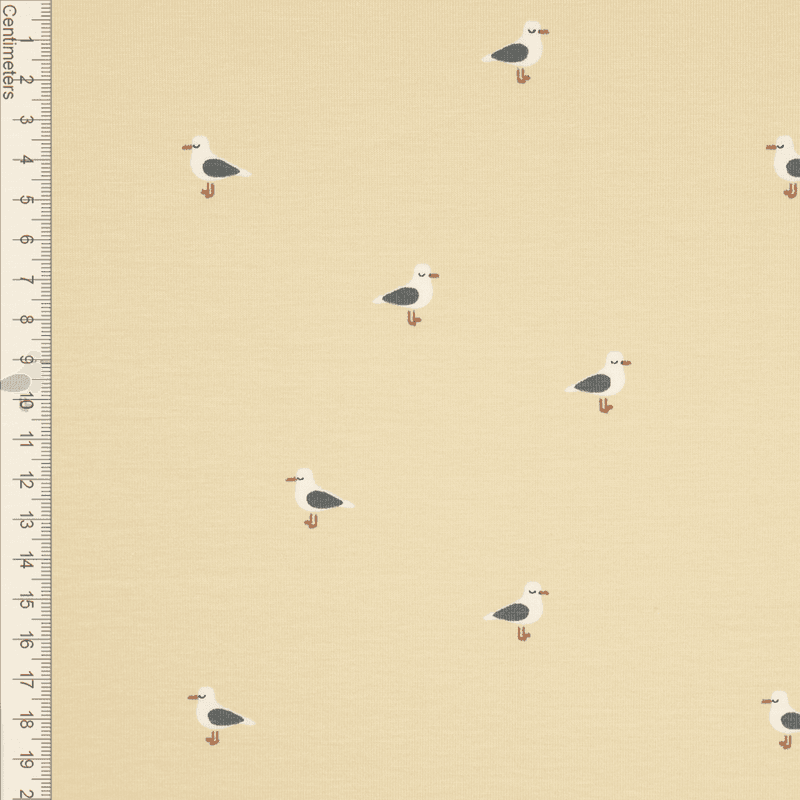 Little Seagulls - Jersey