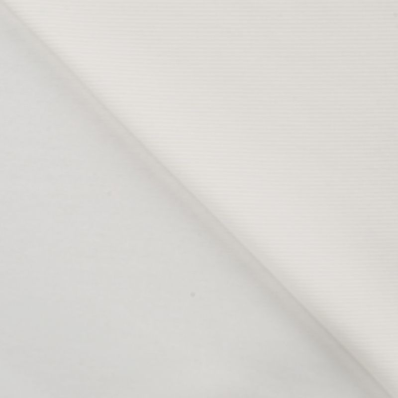 Ecru - Ottoman Jersey