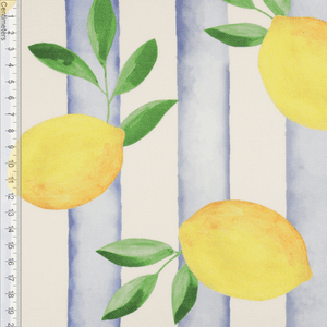 Hovedbilde Lemon Stripes - Kanvas