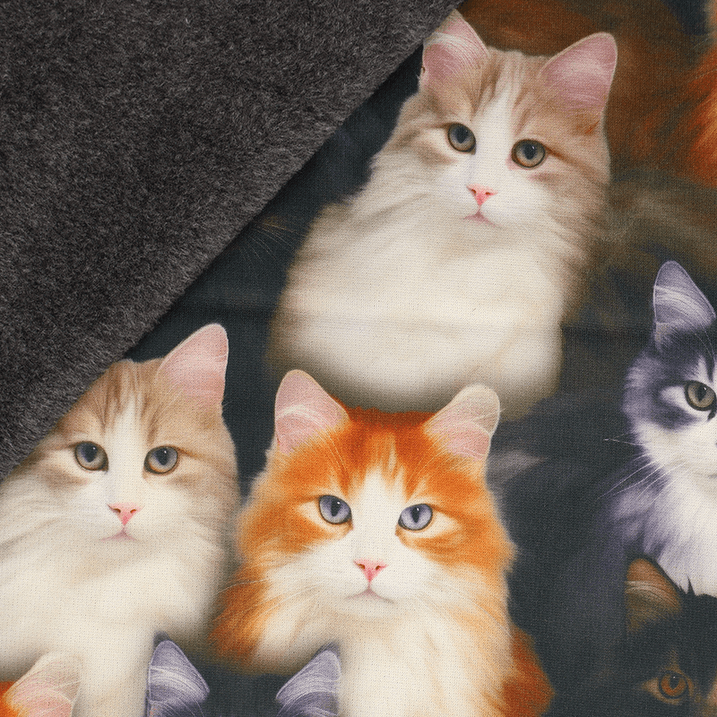 Cats - Minky Isoli