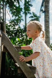 Hovedbilde Ava - Musselin