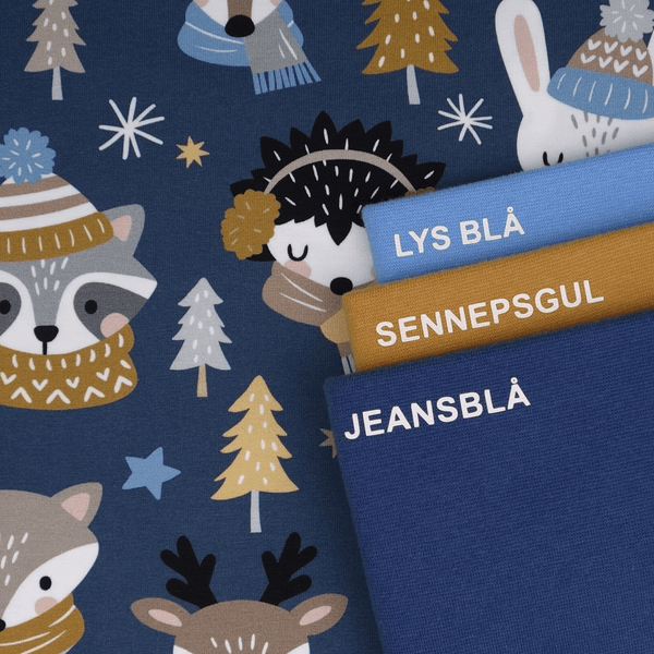 Winter Friends - Jersey