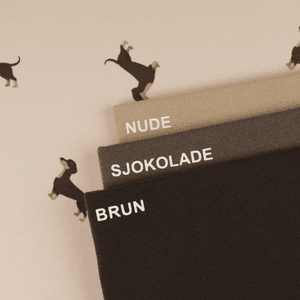 Hovedbilde Lille Dachs - Jersey